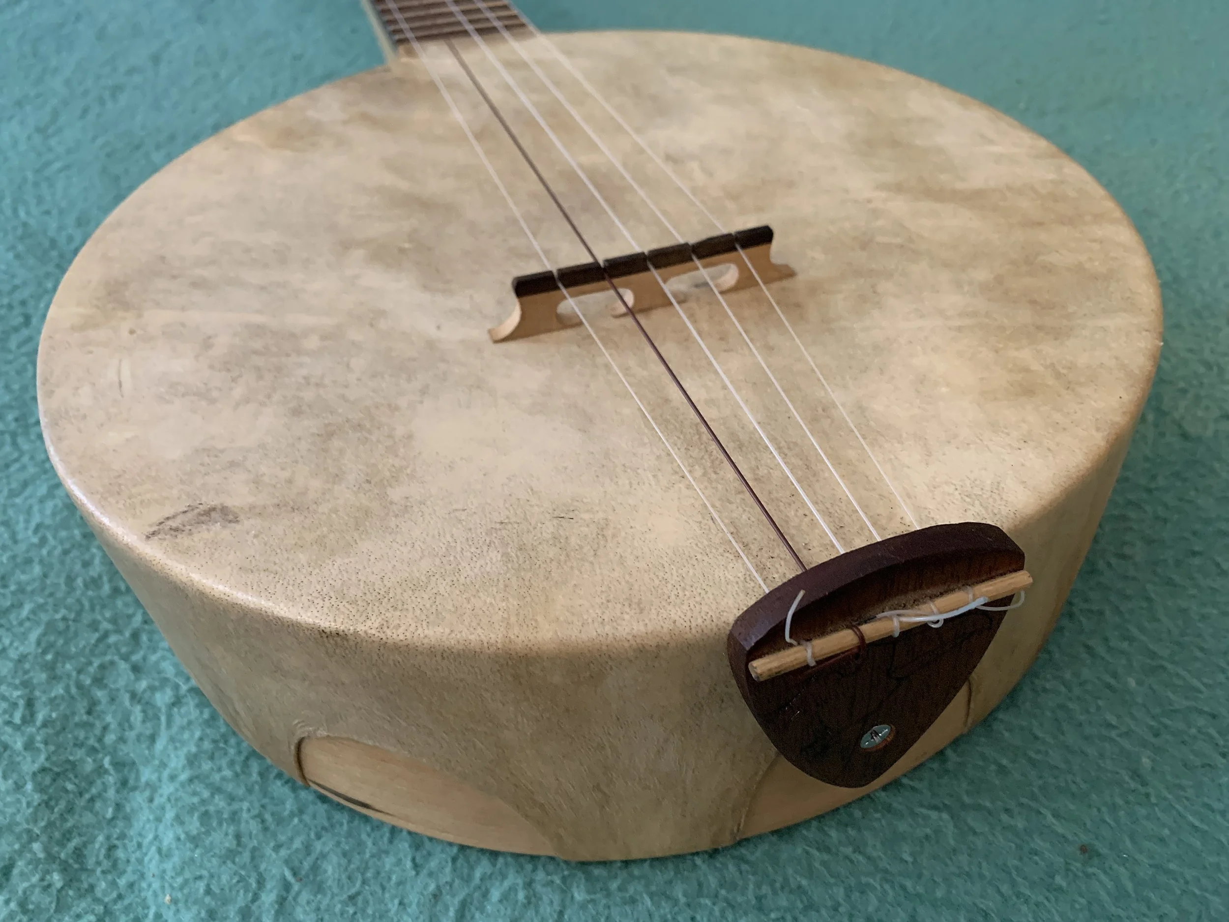 Banjos Raspberry Banjos — RAVEN BANJOS