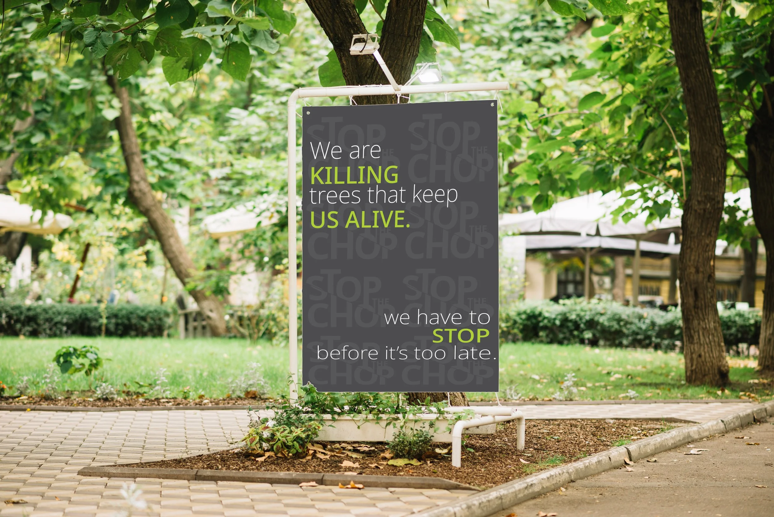 PARK ADVERTISMENT.jpg