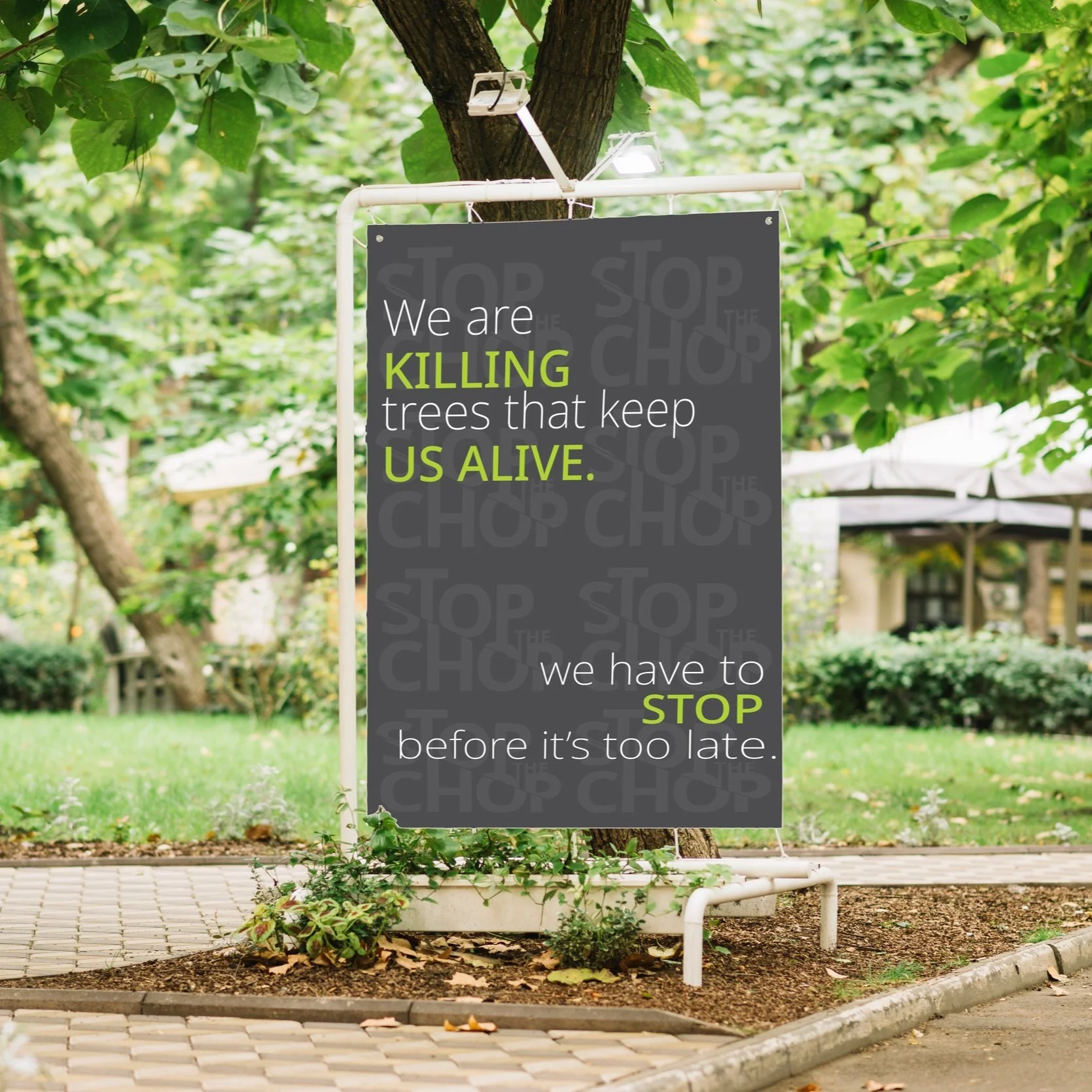 PARK ADVERTISMENT.jpg