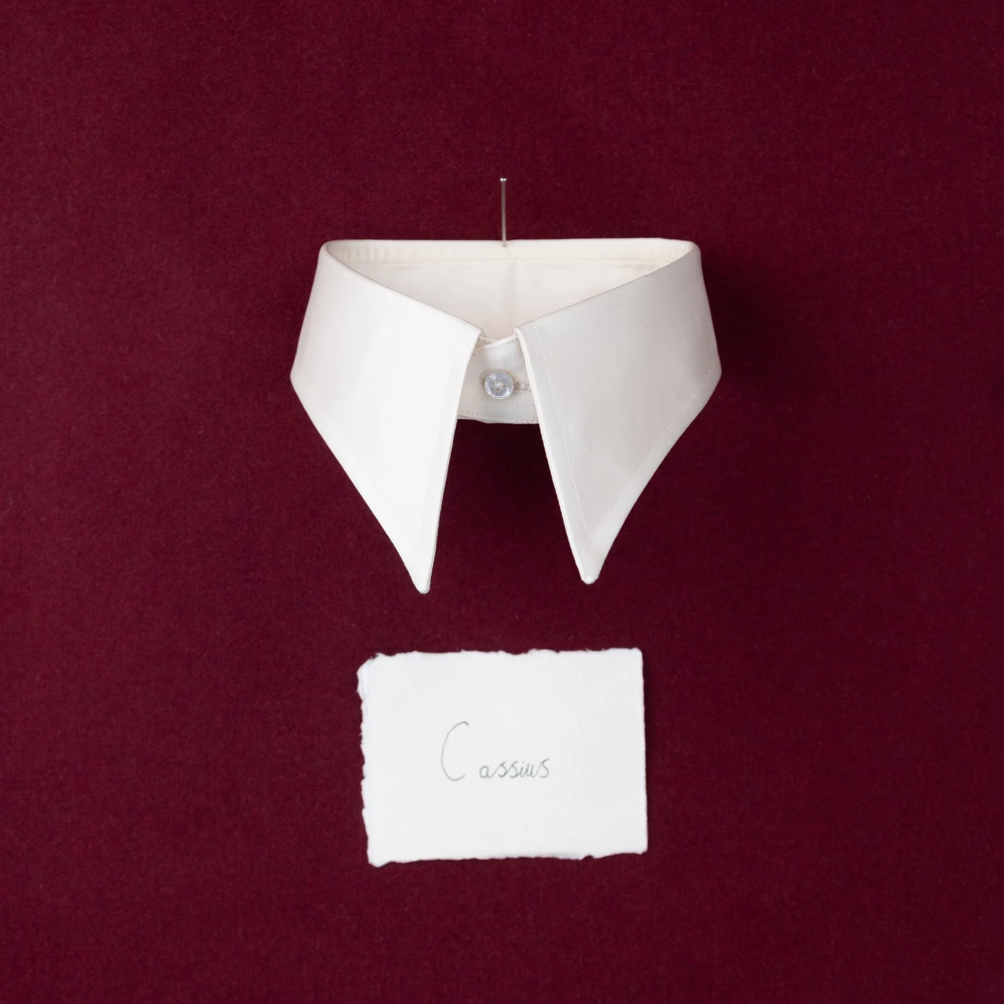 Cassius,
In latin text Cassius is a masculine name
with a meaning related to vanity. In a
historical sense the name became
synonymous with rebellion and the
dissent against authority.
A perfect name to be given to this collar
as it is a statement. A
