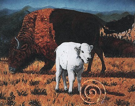 white-buffalo-calf_orig.jpeg