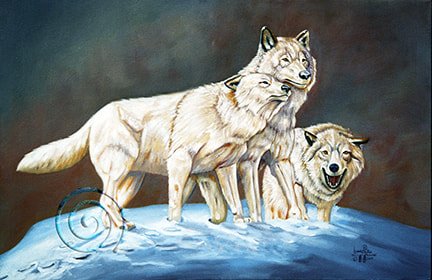 21-gray-wolves_orig.jpeg