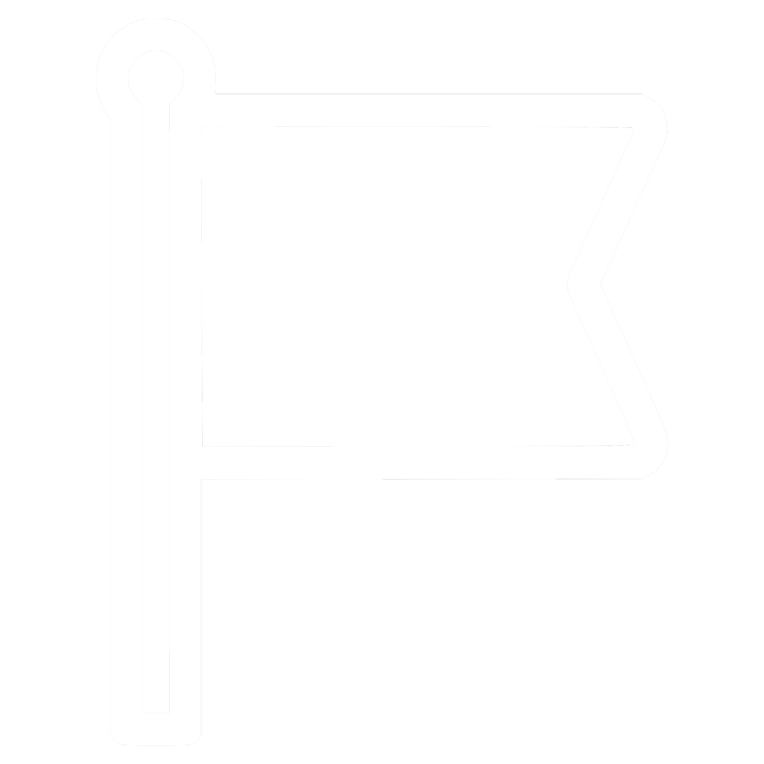 Flag icon representing a confident small business launch with professional systems and website