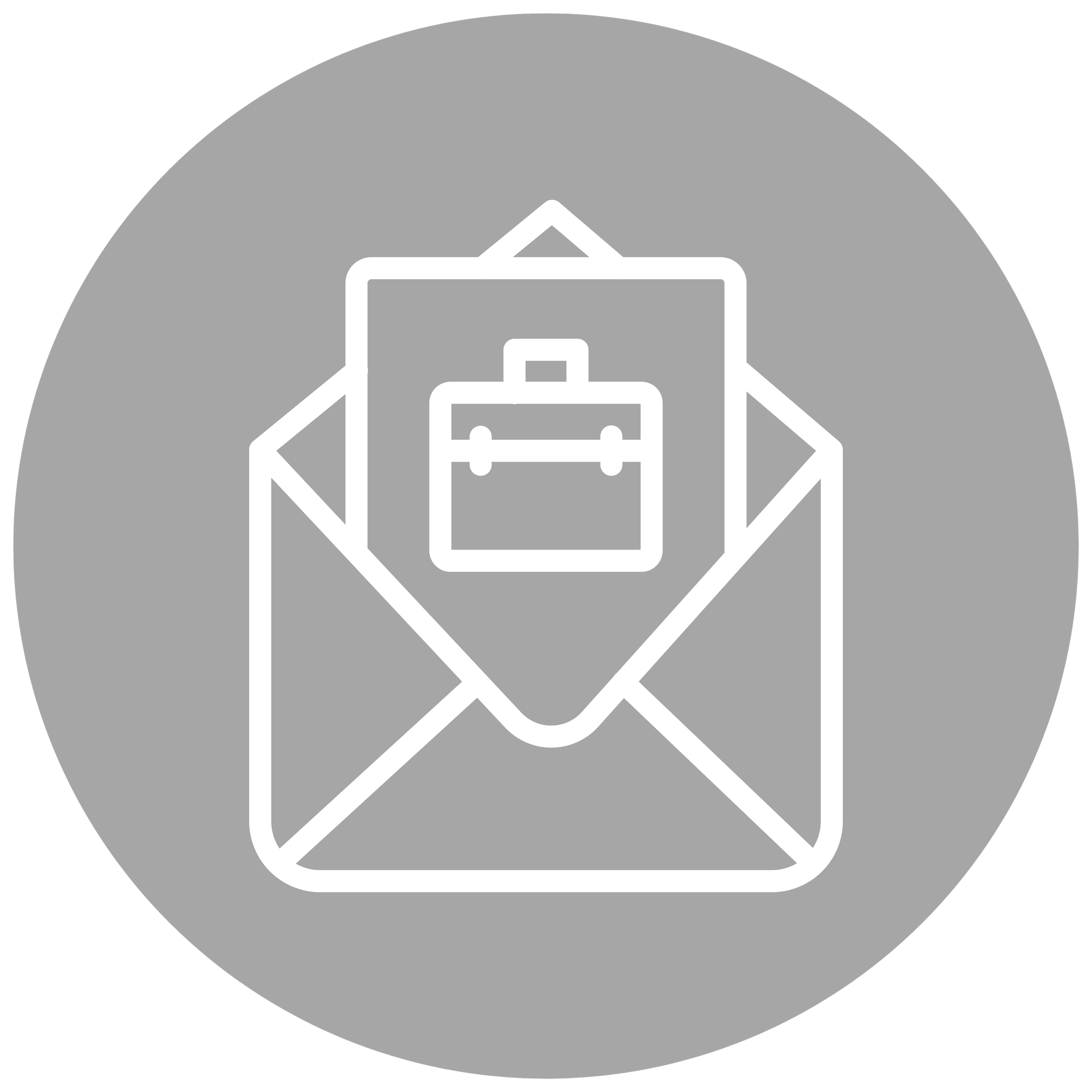 Professional Business Systems Engine featuring CRM implementation, automated workflows, and brand identity design.