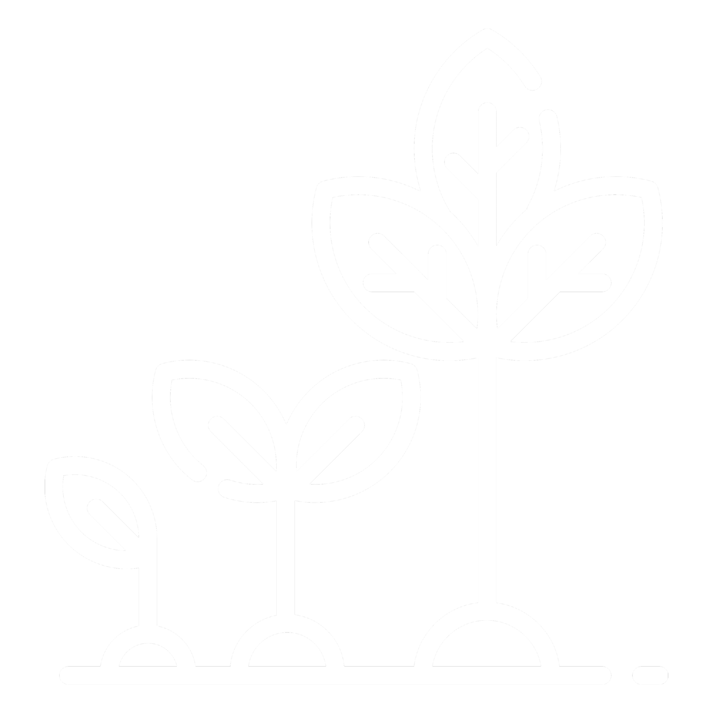 Growing plant icon representing ongoing Squarespace website growth and SEO management for small businesses