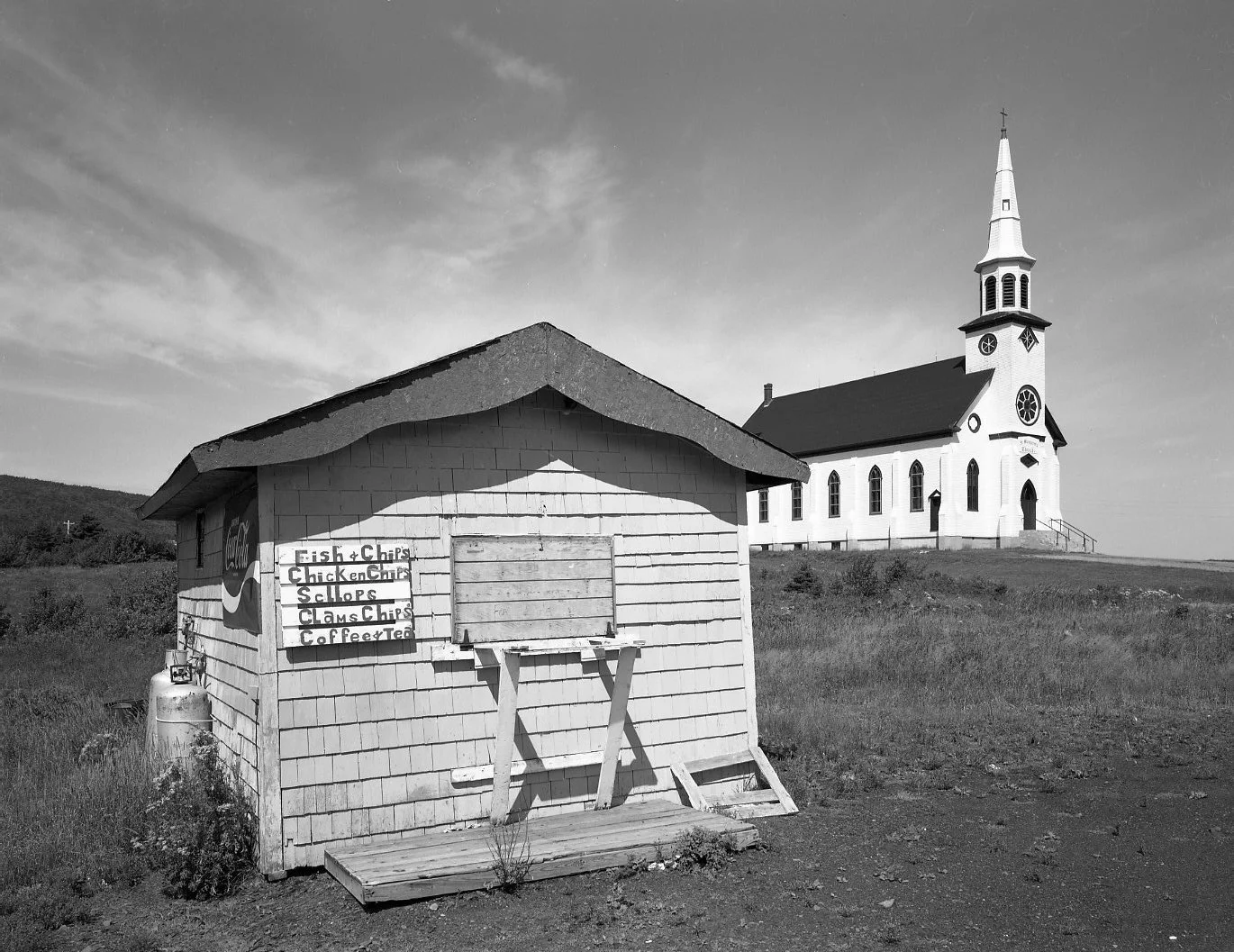 4x5 for web 7:2420240712_0007.jpg