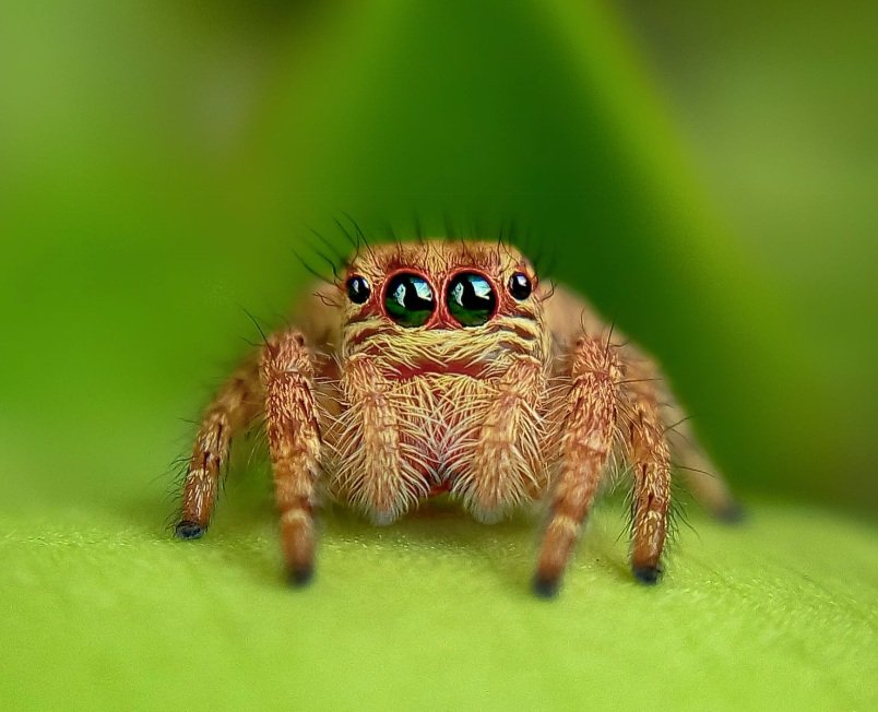 Screenshot 2024-06-24 at 5.34.36 PM.jpg