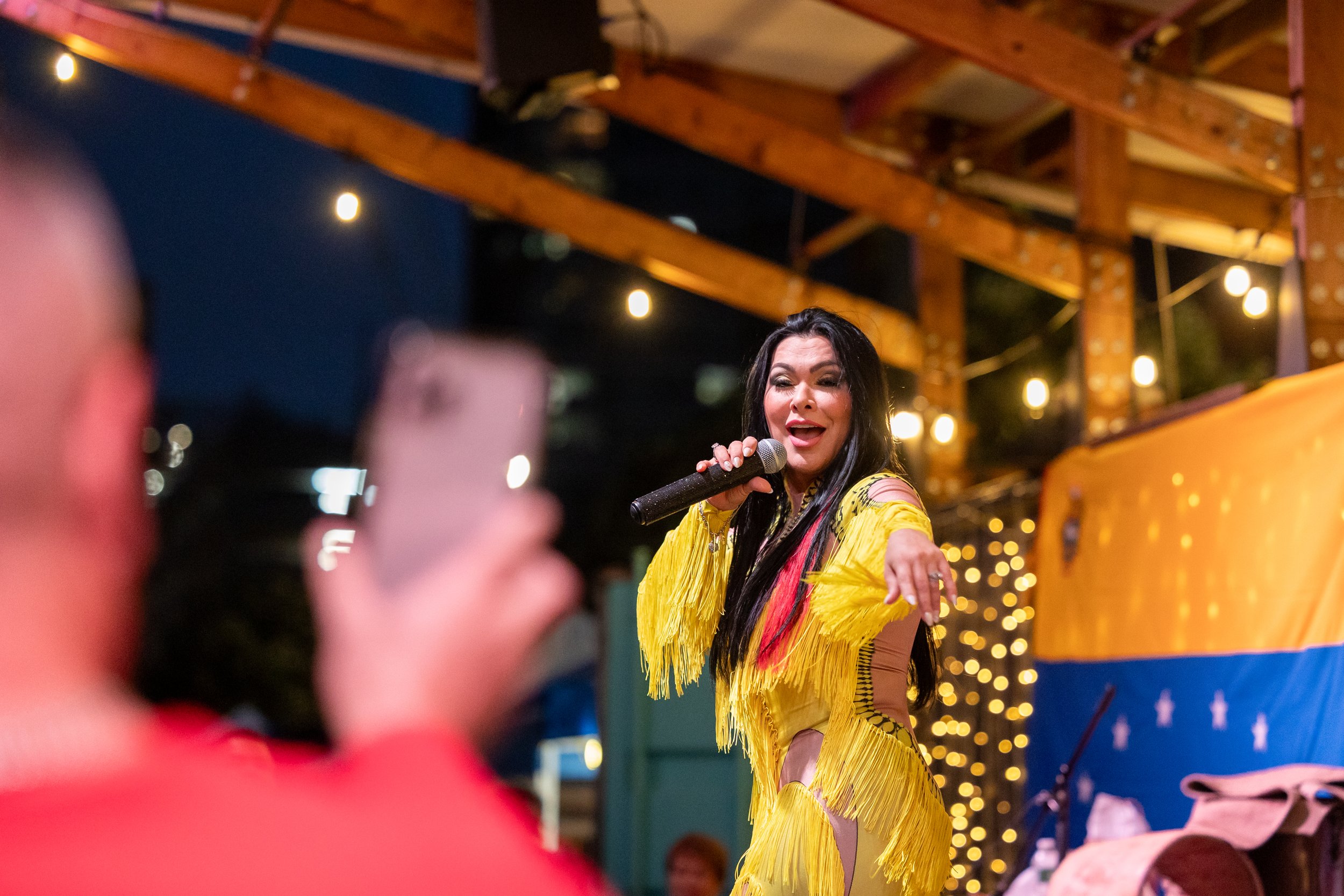 Vnzlan_Cultural_Fest-650-9373 (1).jpg