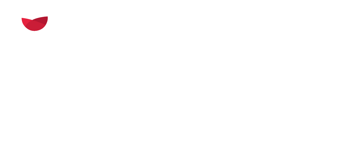 INDIGO EVENTS
