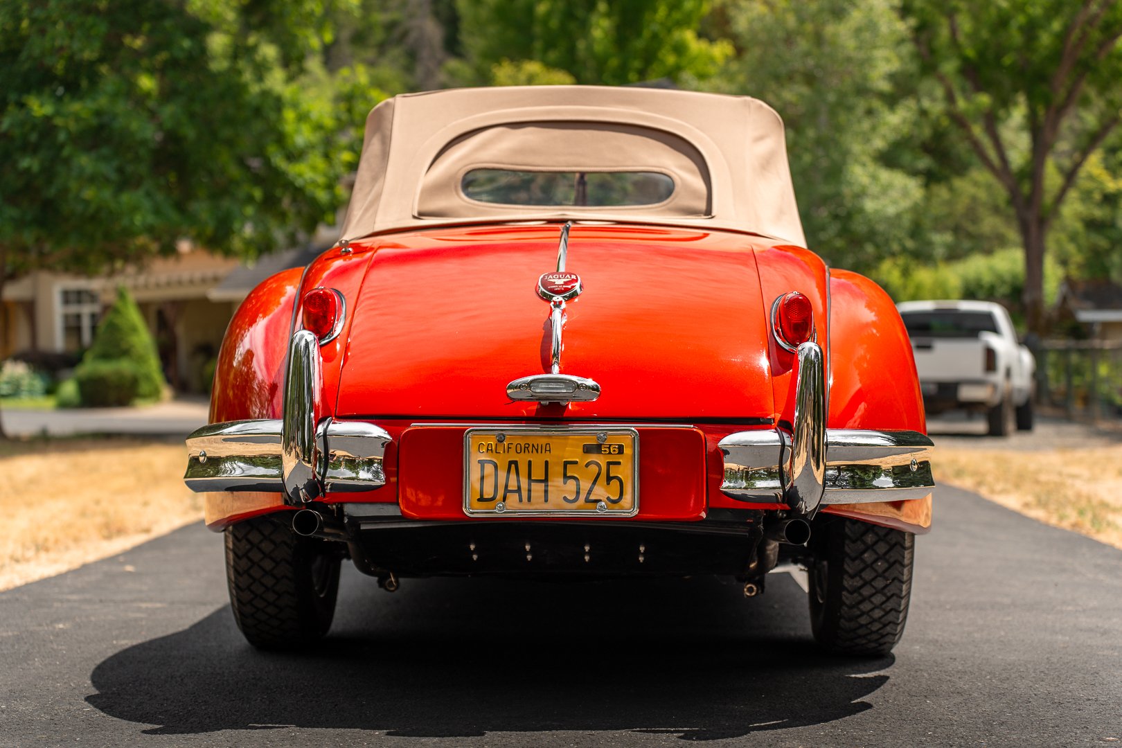 56 Jag-119.jpg