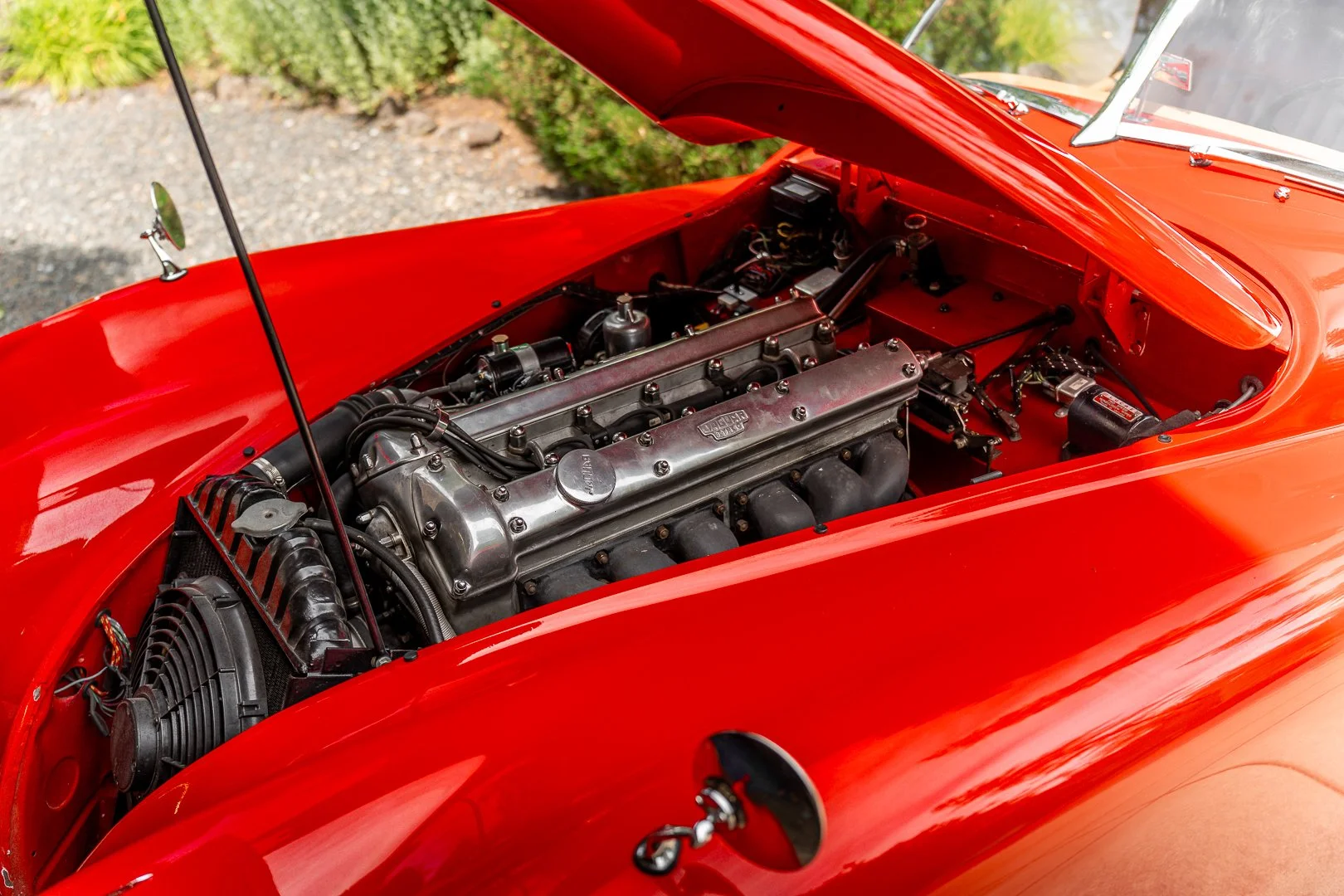 56 Jag-036.jpg