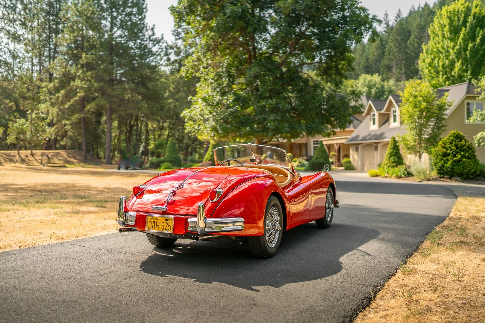 56 Jag-159.jpg