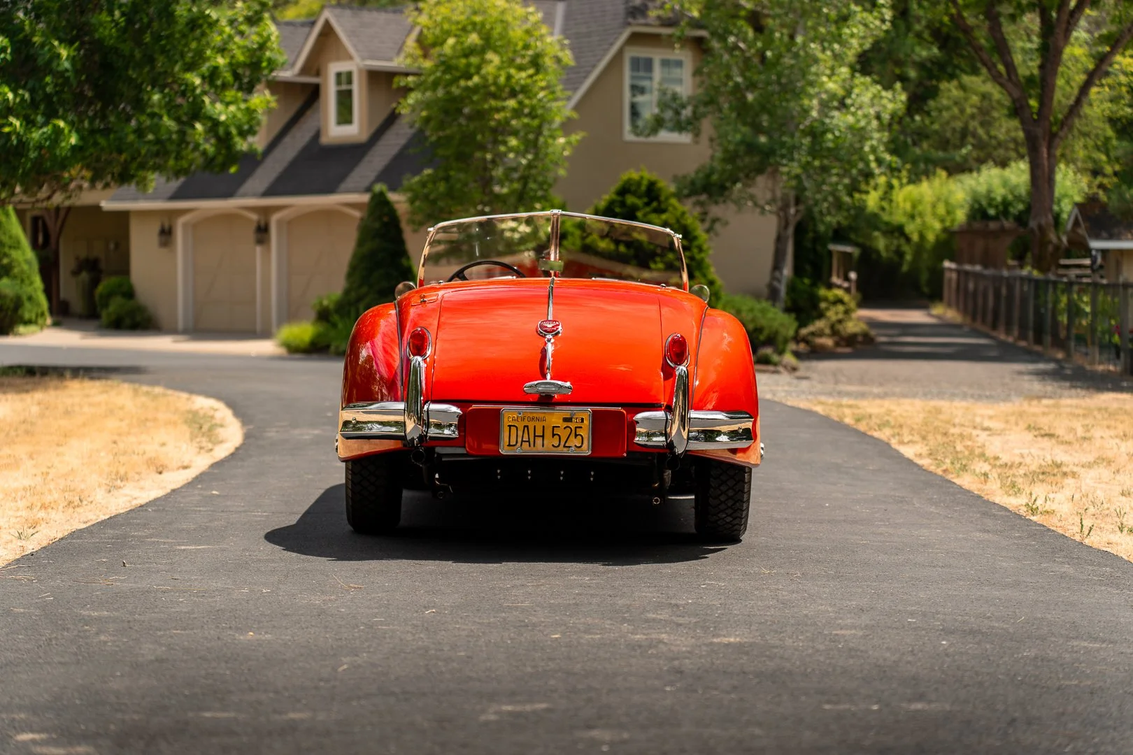 56 Jag-146.jpg