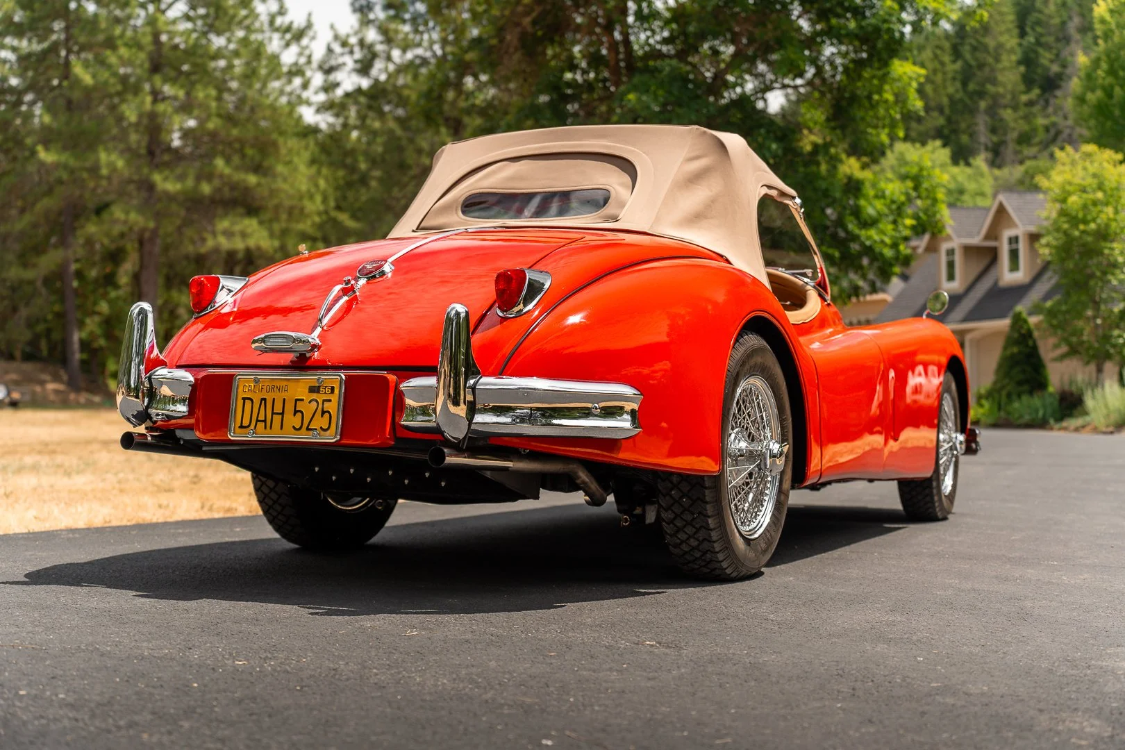 56 Jag-120.jpg