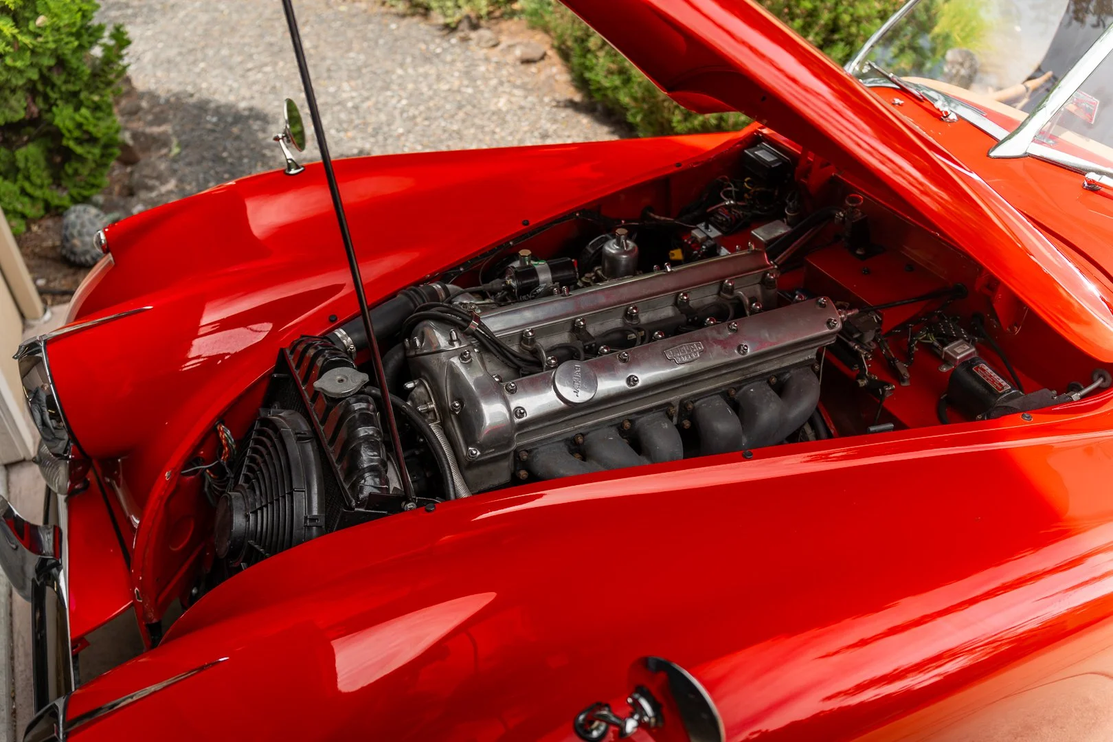 56 Jag-024.jpg