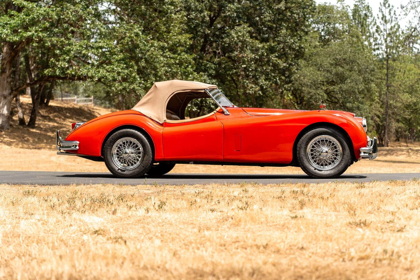 56 Jag-086.jpg