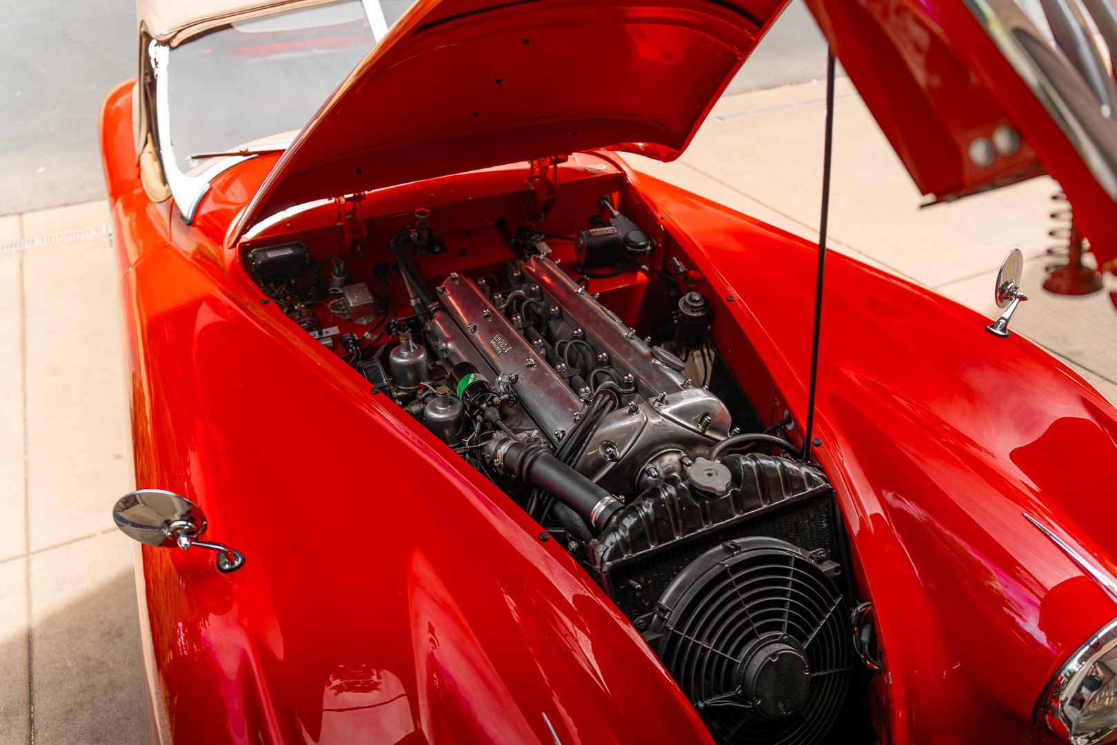 56 Jag-025.jpg
