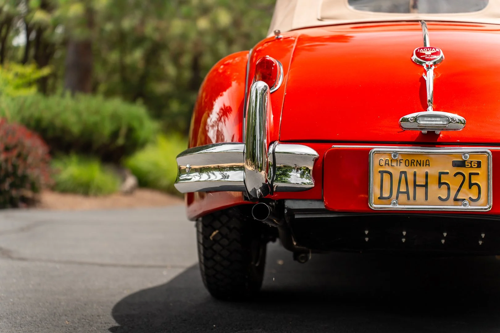 56 Jag-064.jpg
