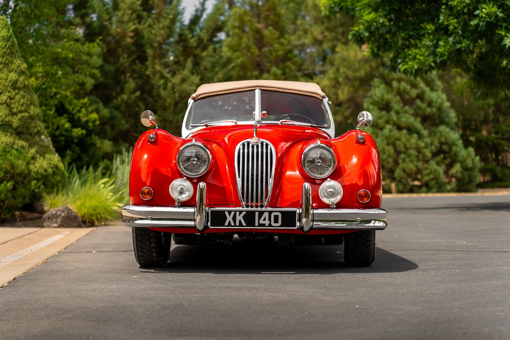 56 Jag-048.jpg