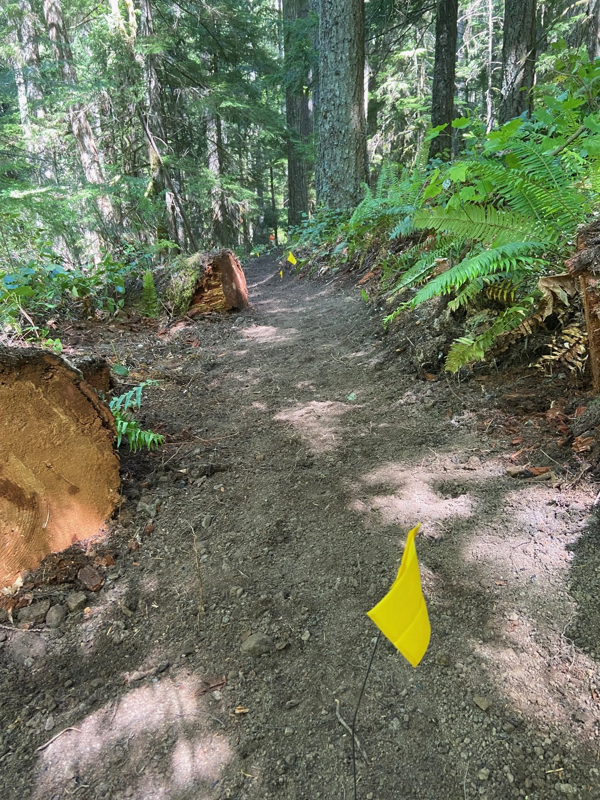 Cloverpatch Connecter Trail Work Party!