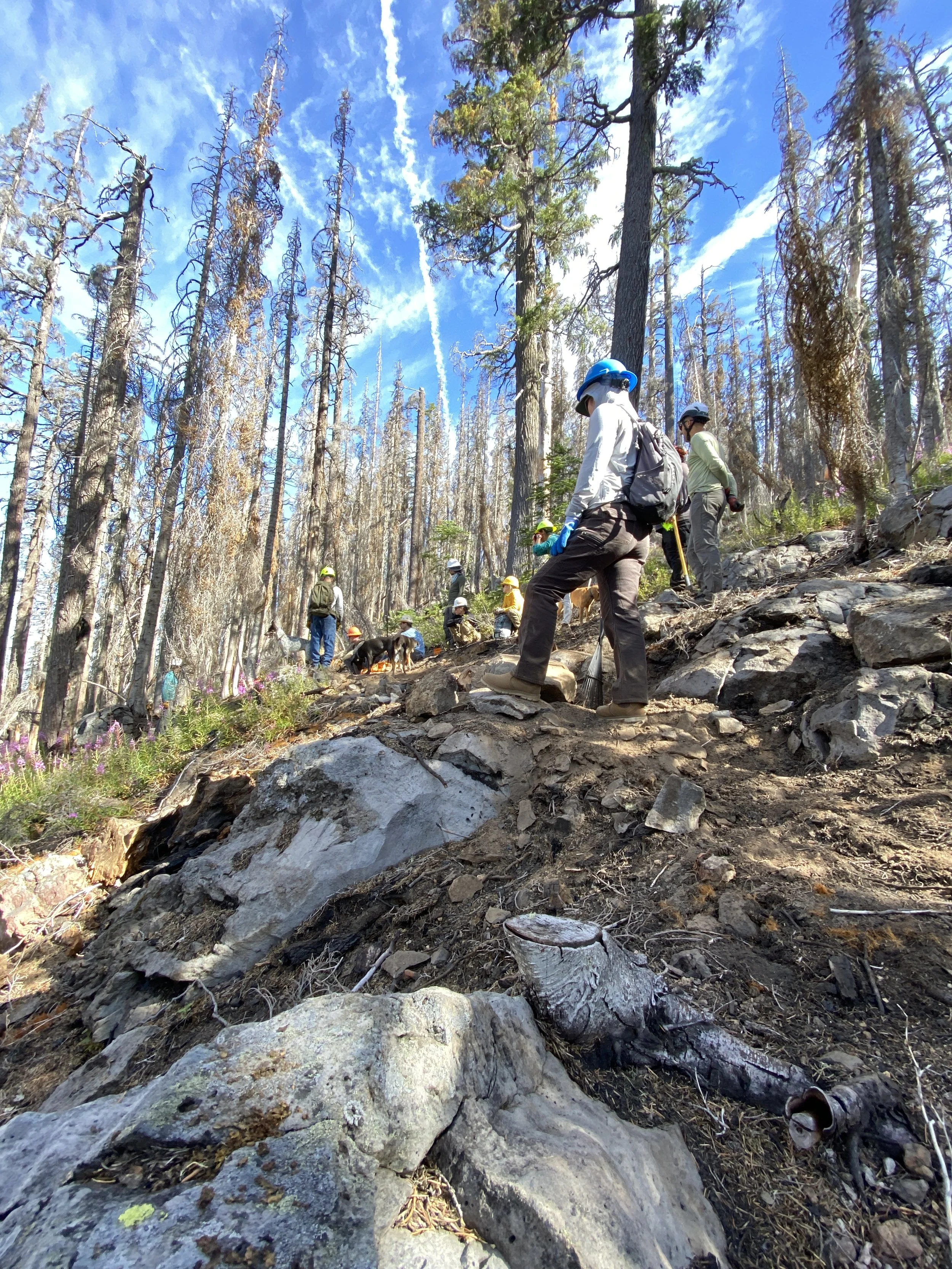 FUGRASS Trail Work Party