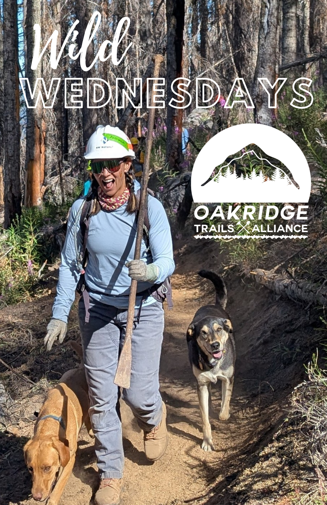 Wild Wednesdays!