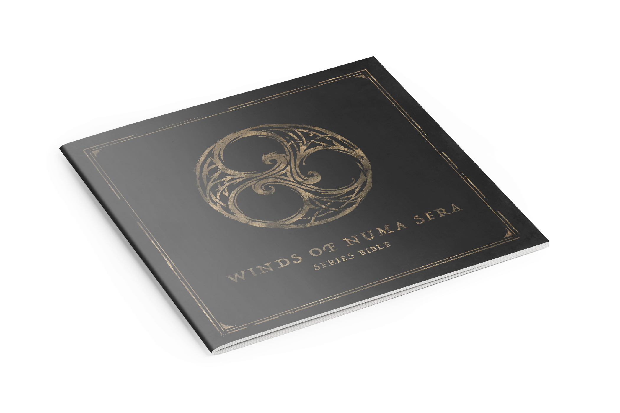 Series Outline / Show Bible