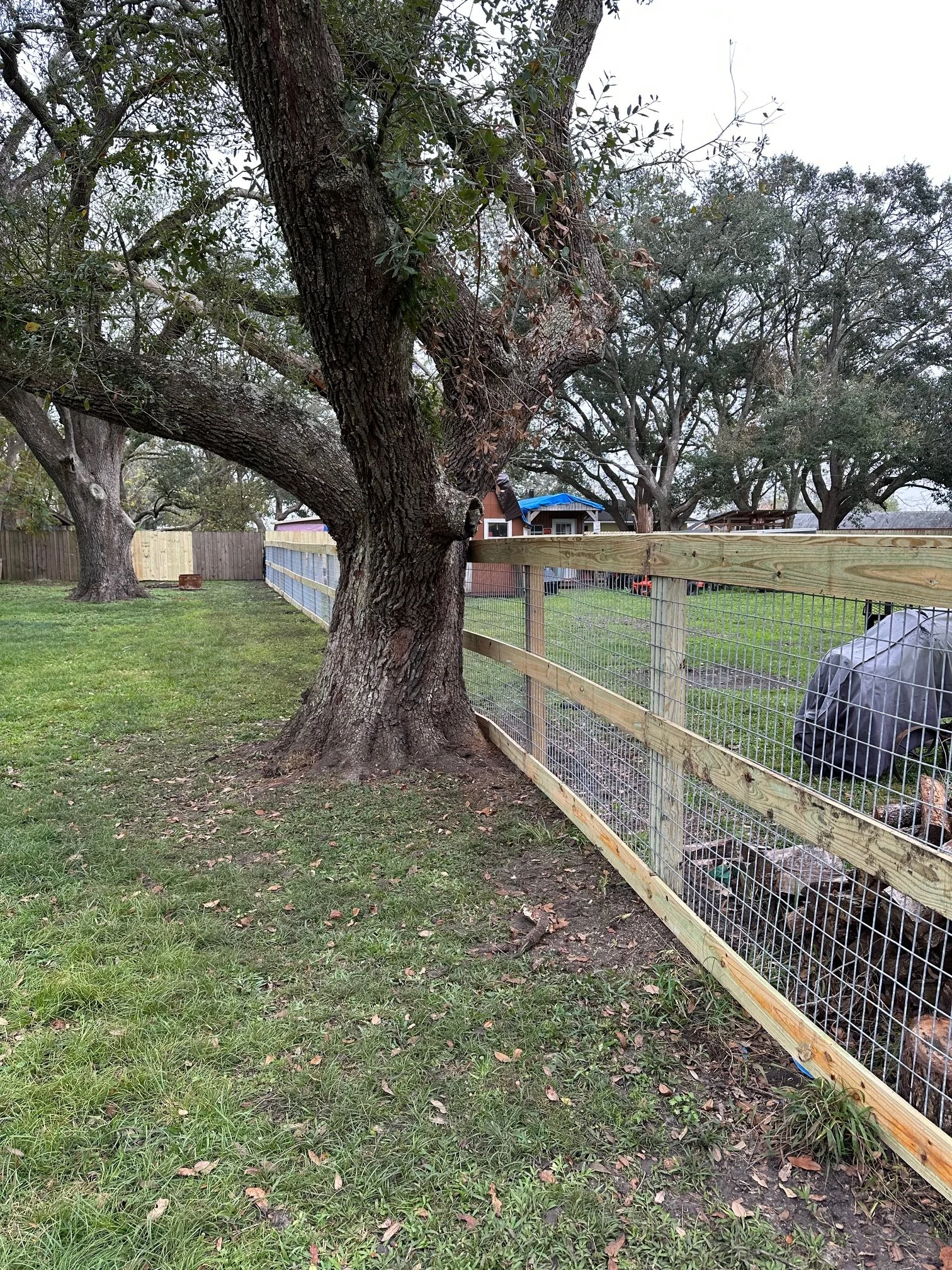 IMG_4563.jpeg