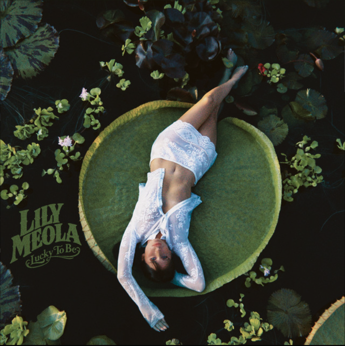  Lily Meola, Lukas Nelson  
 “Mar Vista - duet”  

Songwriter

Label: NETTWERK