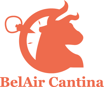 Created many logo iterations