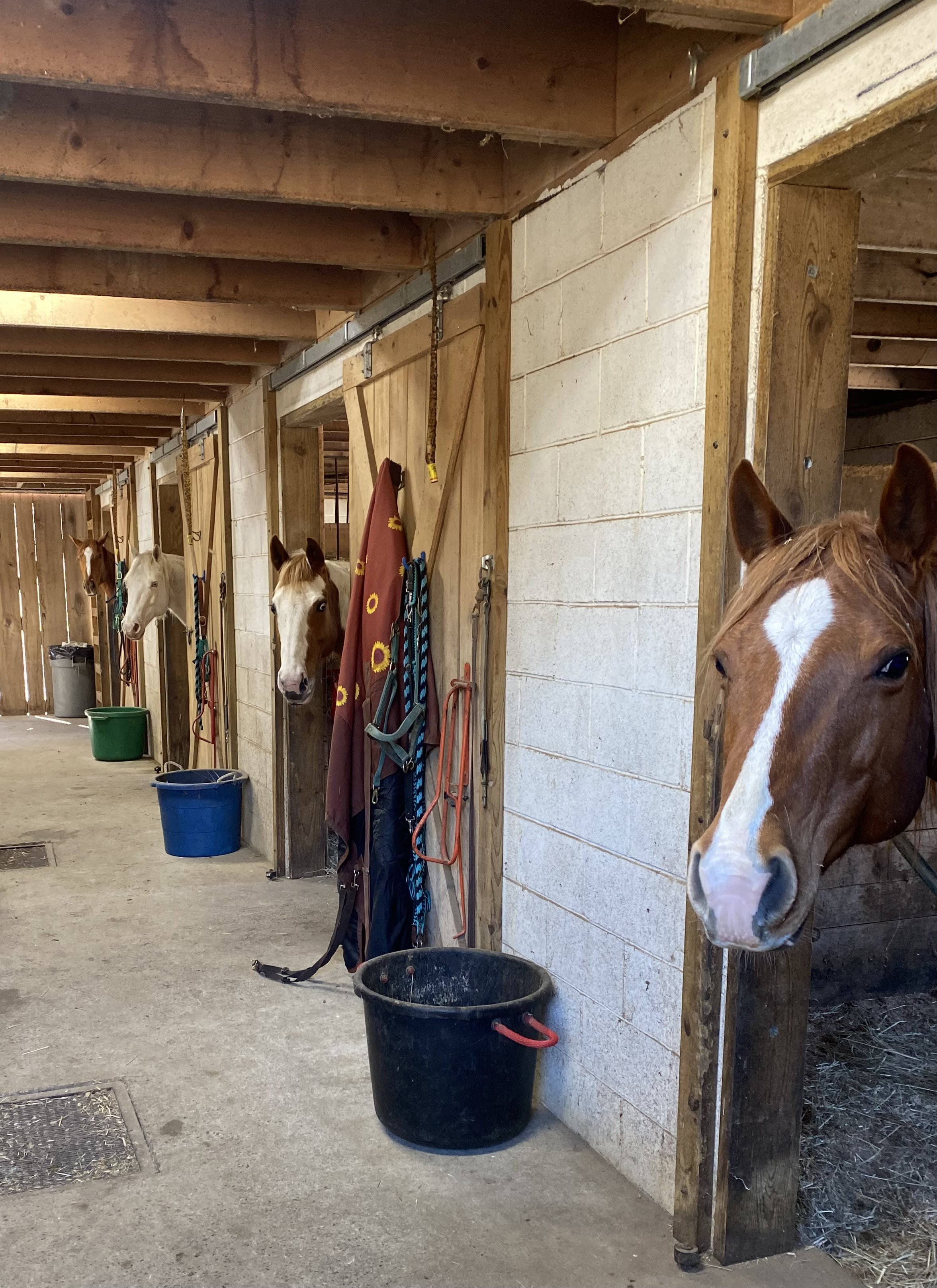 Rocky Springs Ranch
