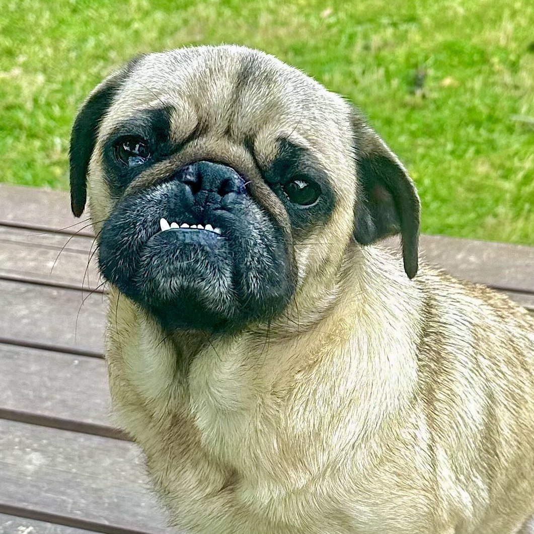 Addie 2.jpeg