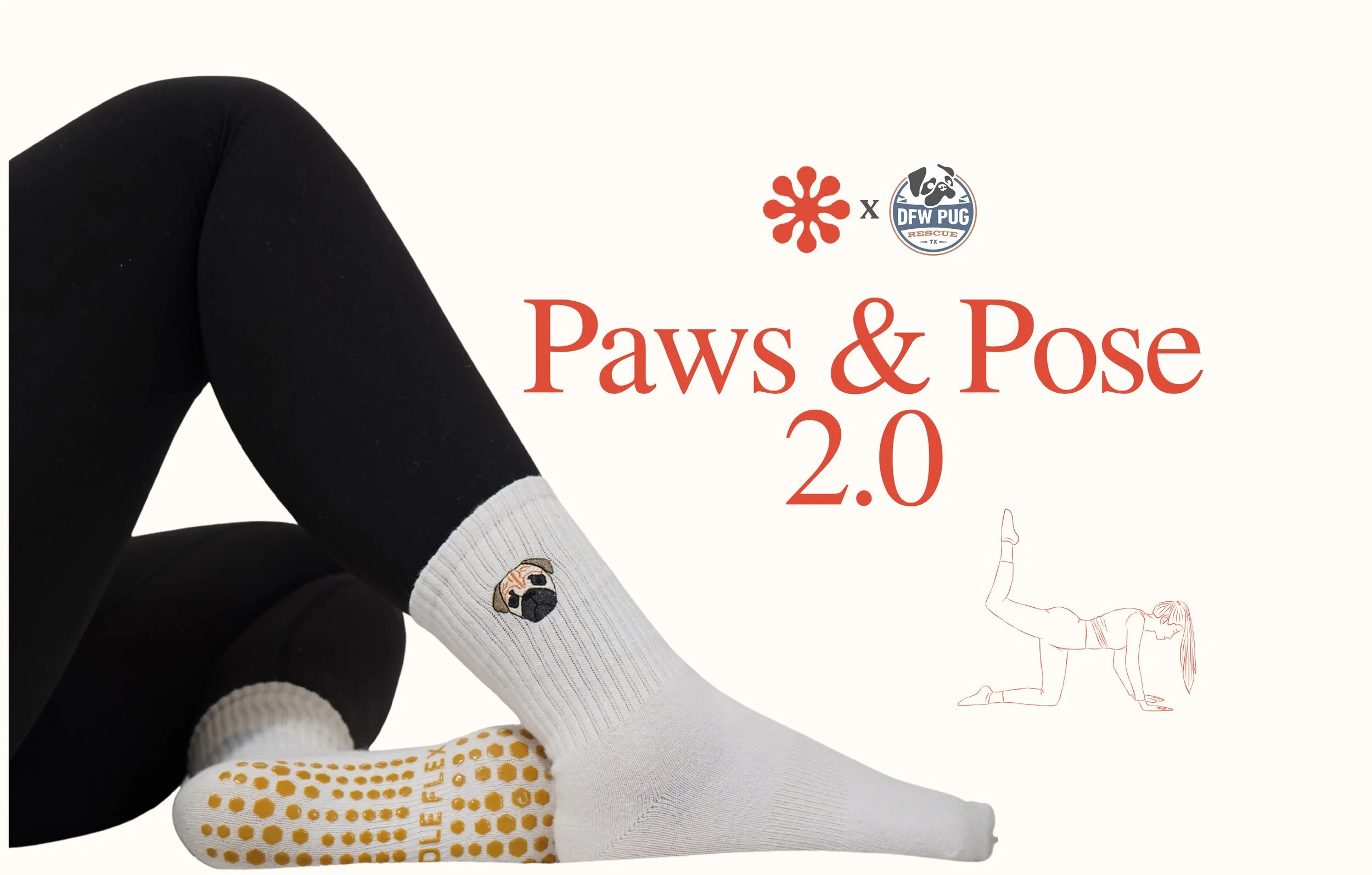 Paws & Pose 2.0