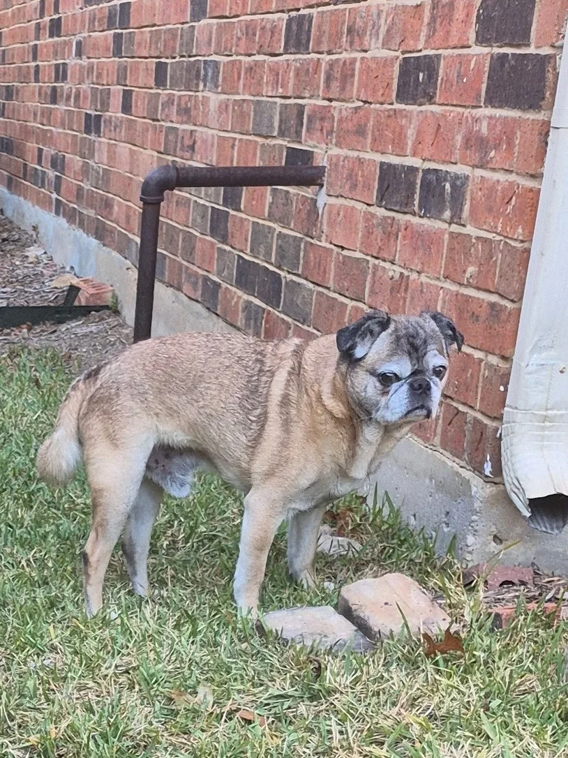 Wendell for size reference.jpg