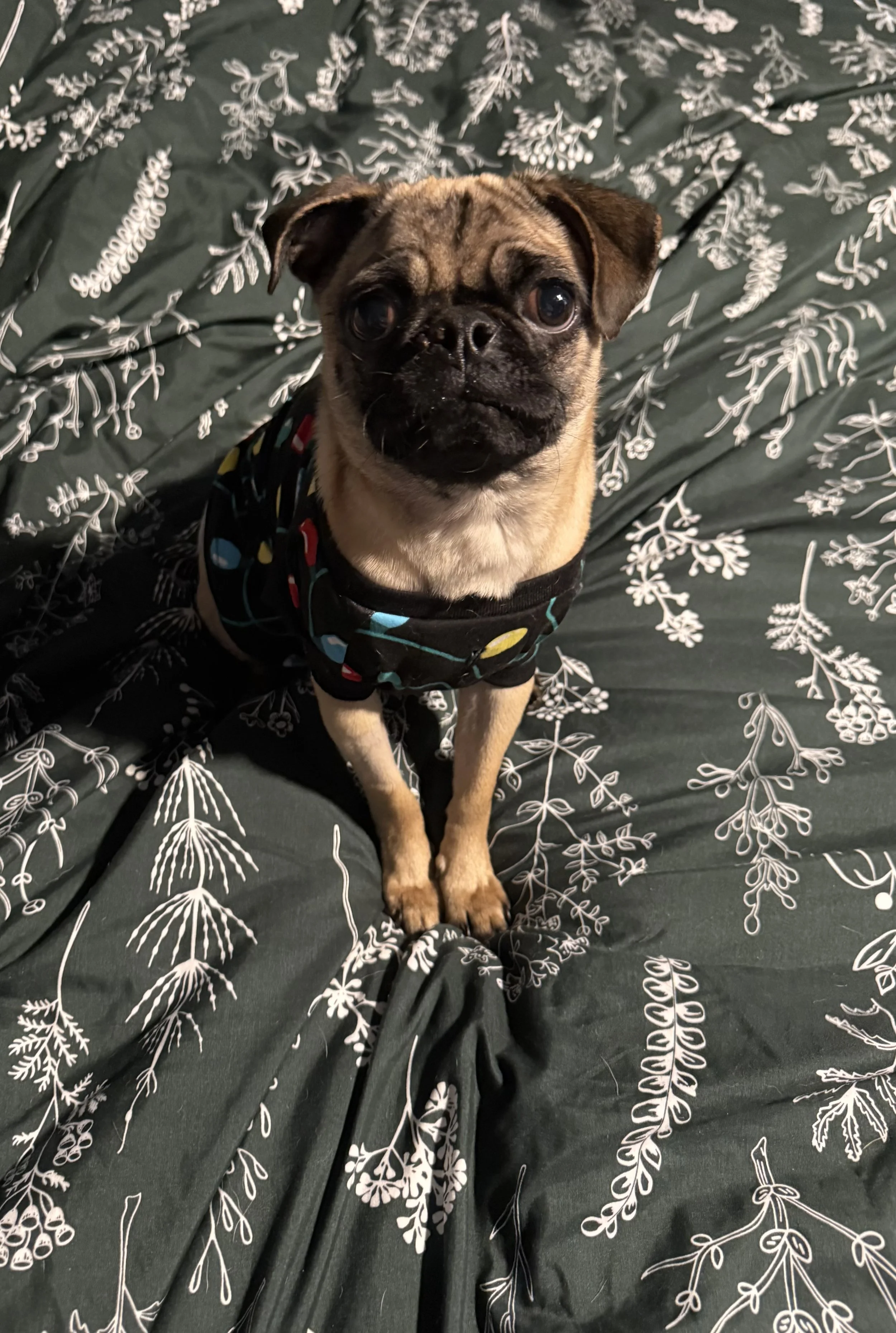 Princess Girl 1.jpeg