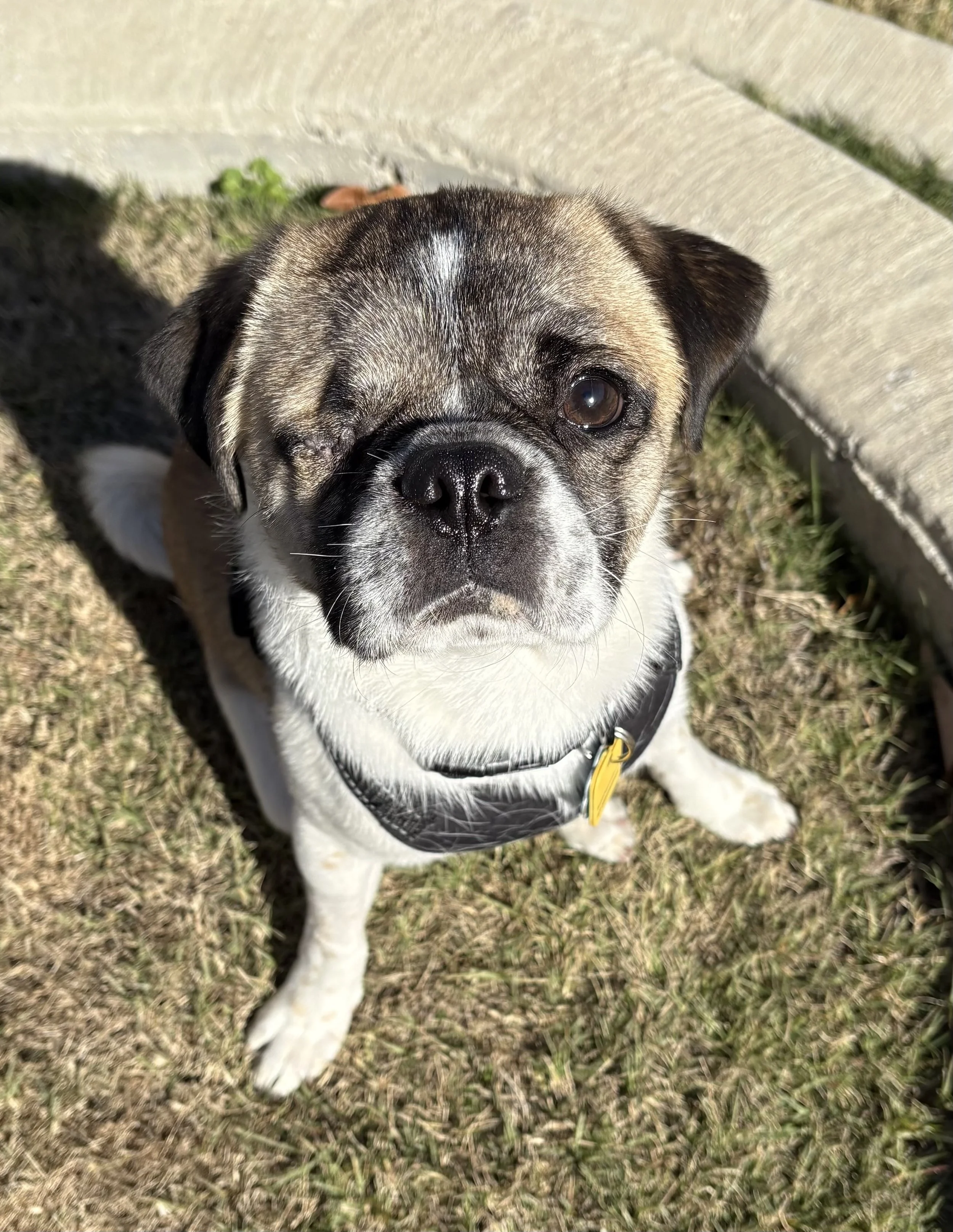 Ernie Boy 3.jpg