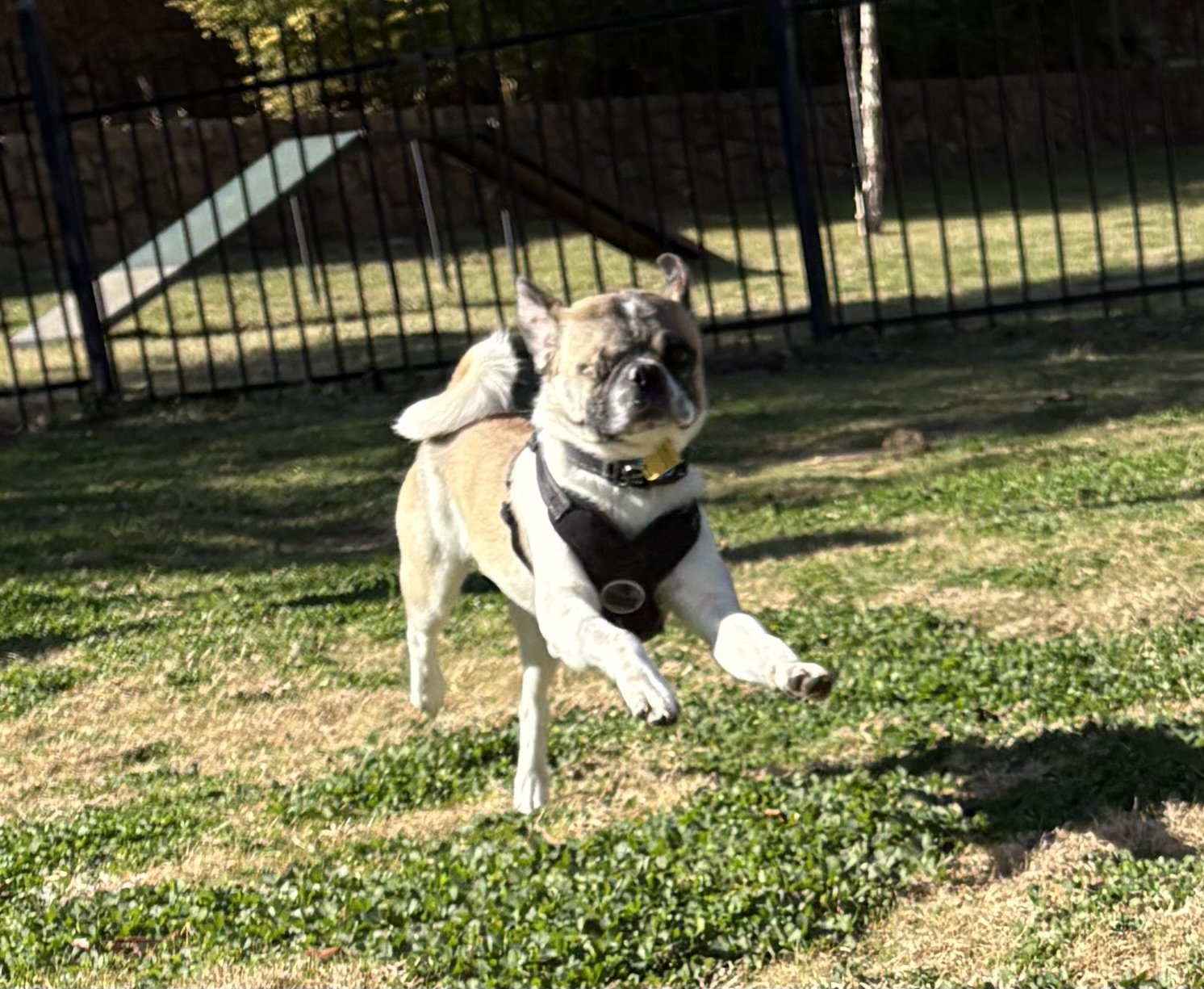 Ernie Boy 1.jpg