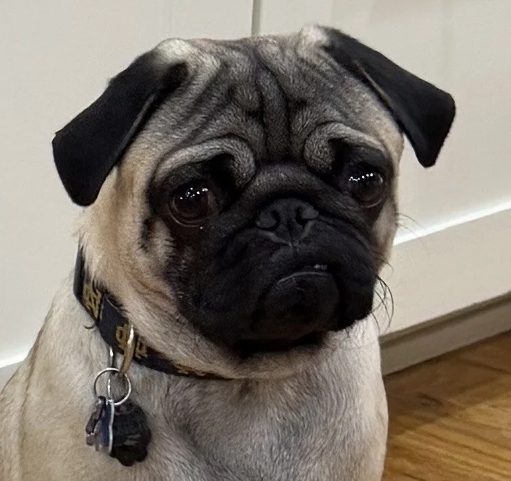 Little Richard 1.jpeg