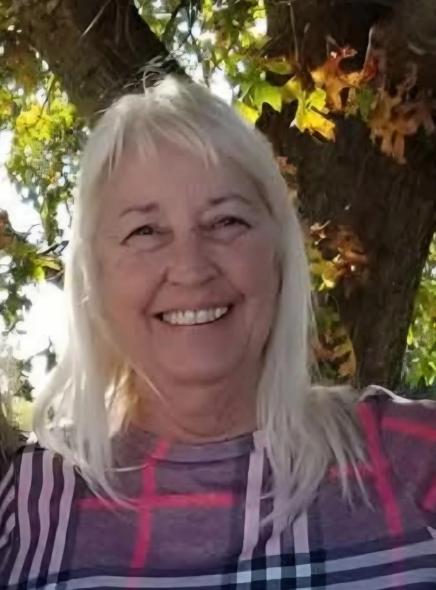 Joann Meriwether2.jpg