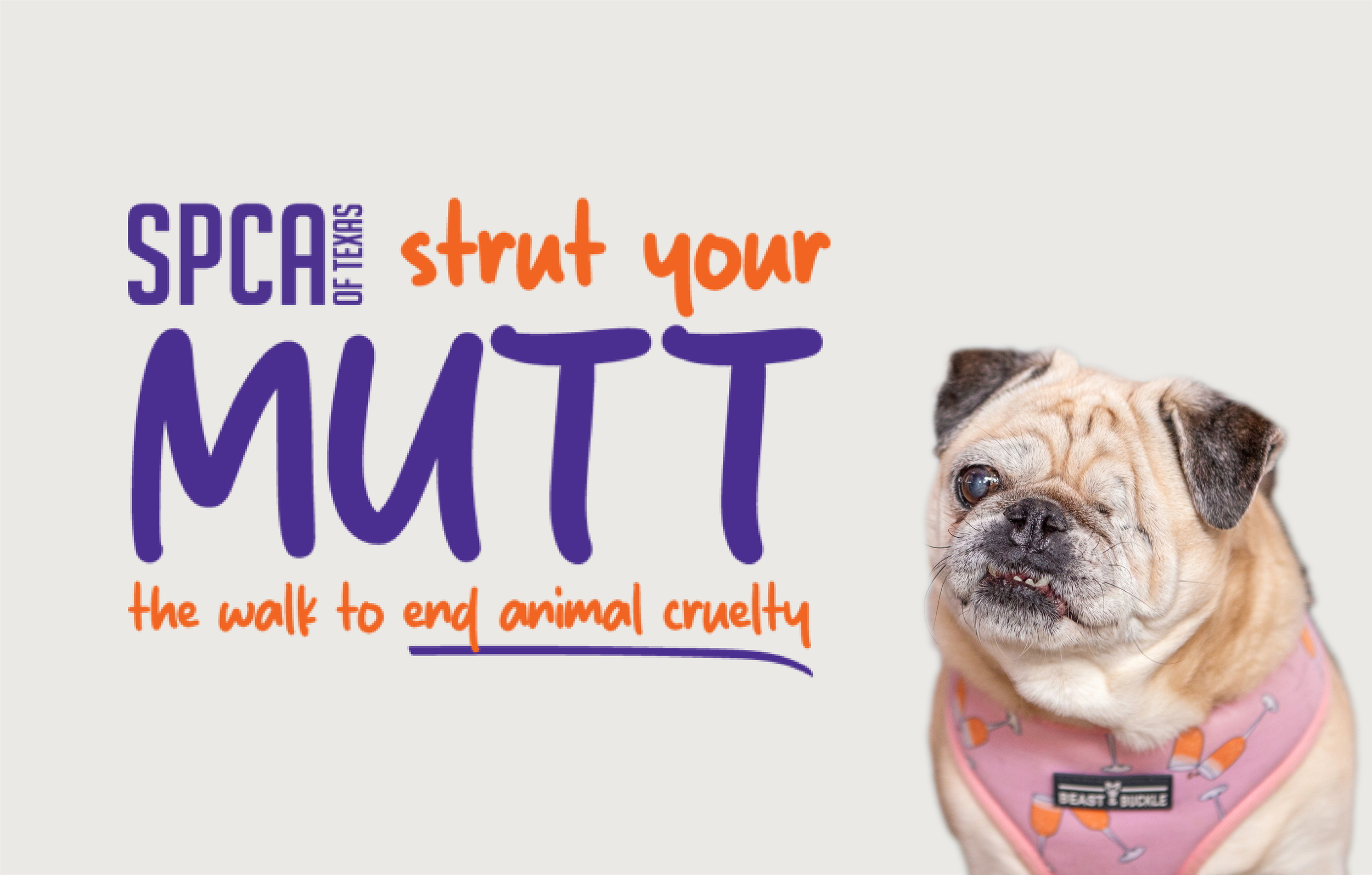 Vendor at SPCA Strut Your Mutt