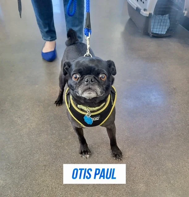 Otis Paul 4.jpeg