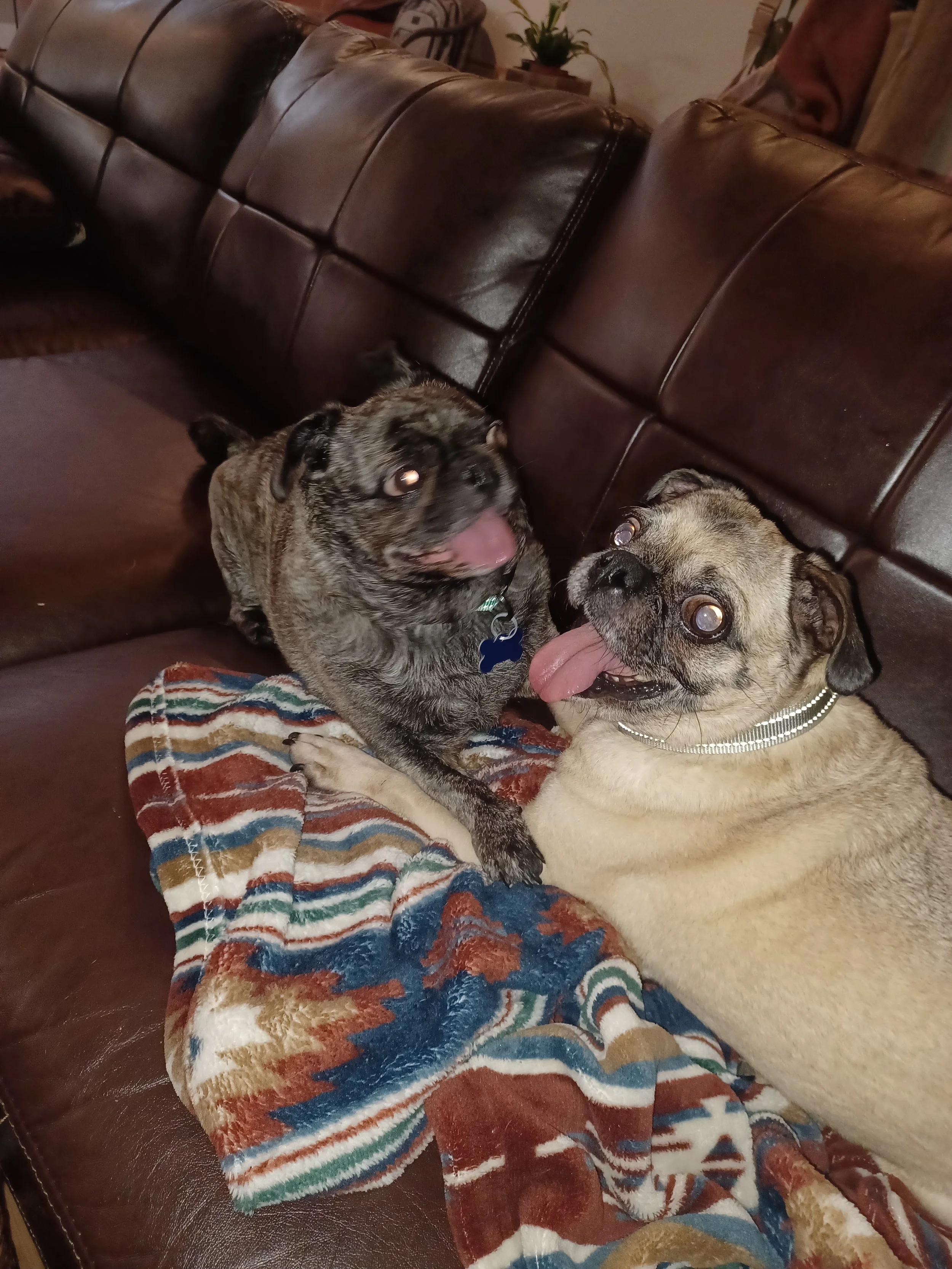 Daisy June and Max Alan