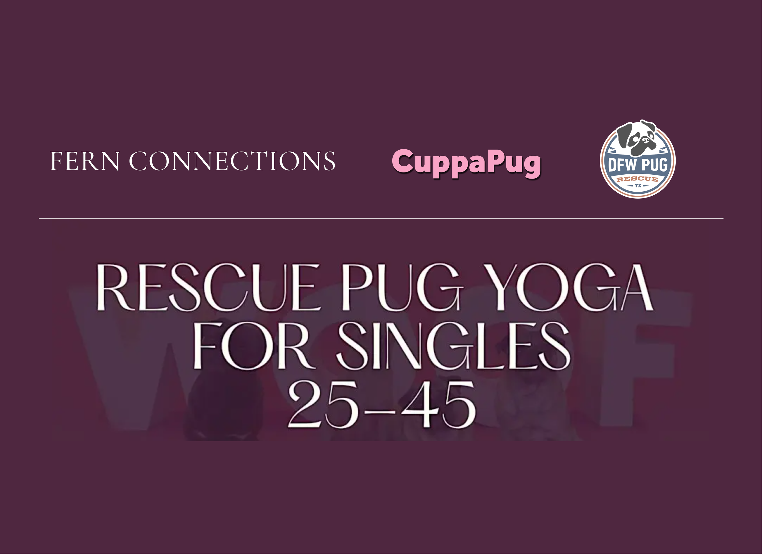 Singles-Only Pug Yoga