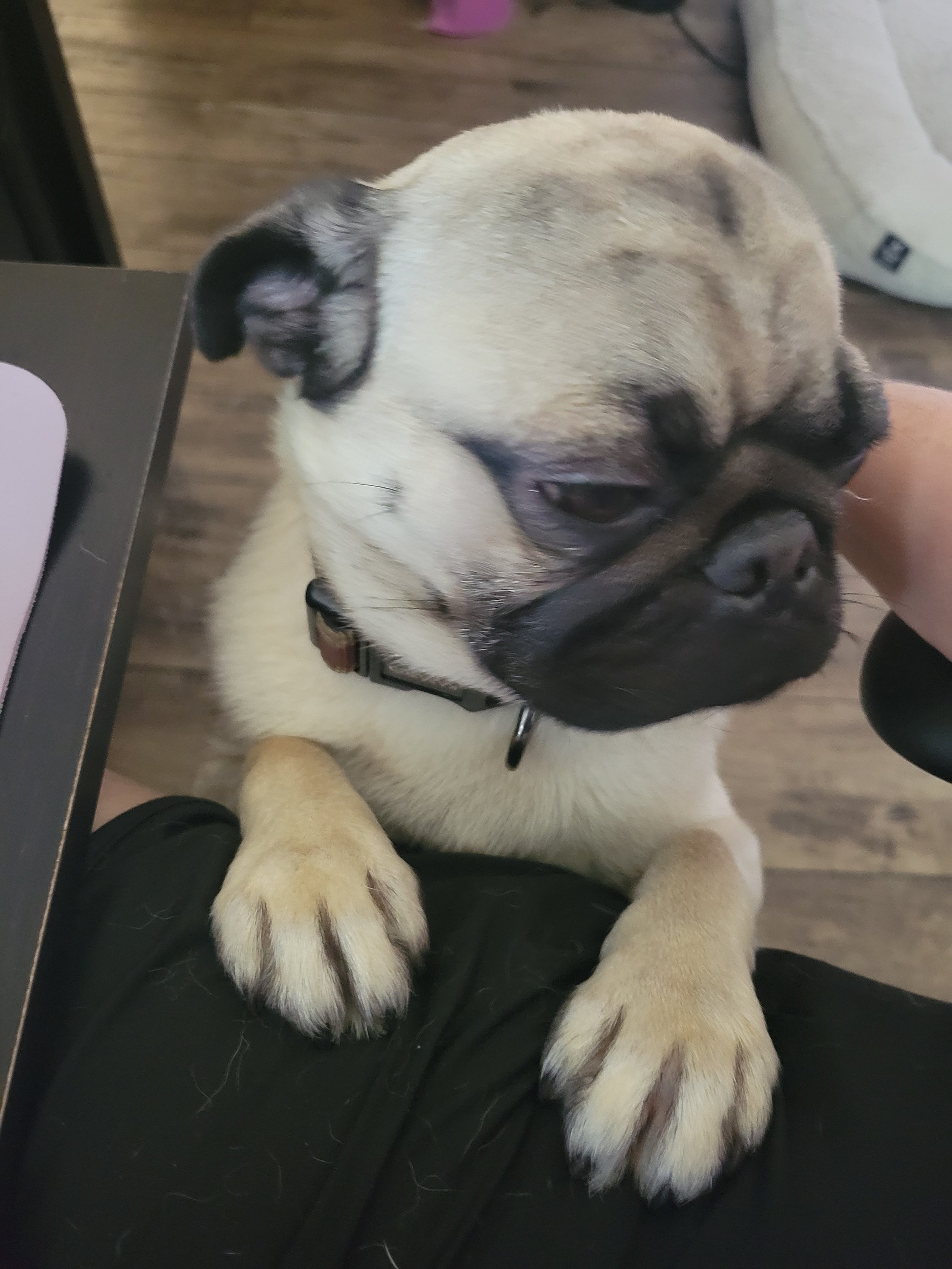 Max