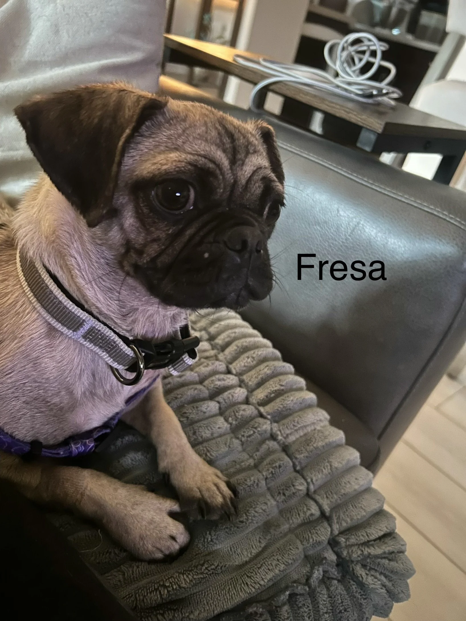 Fresa 2.jpeg