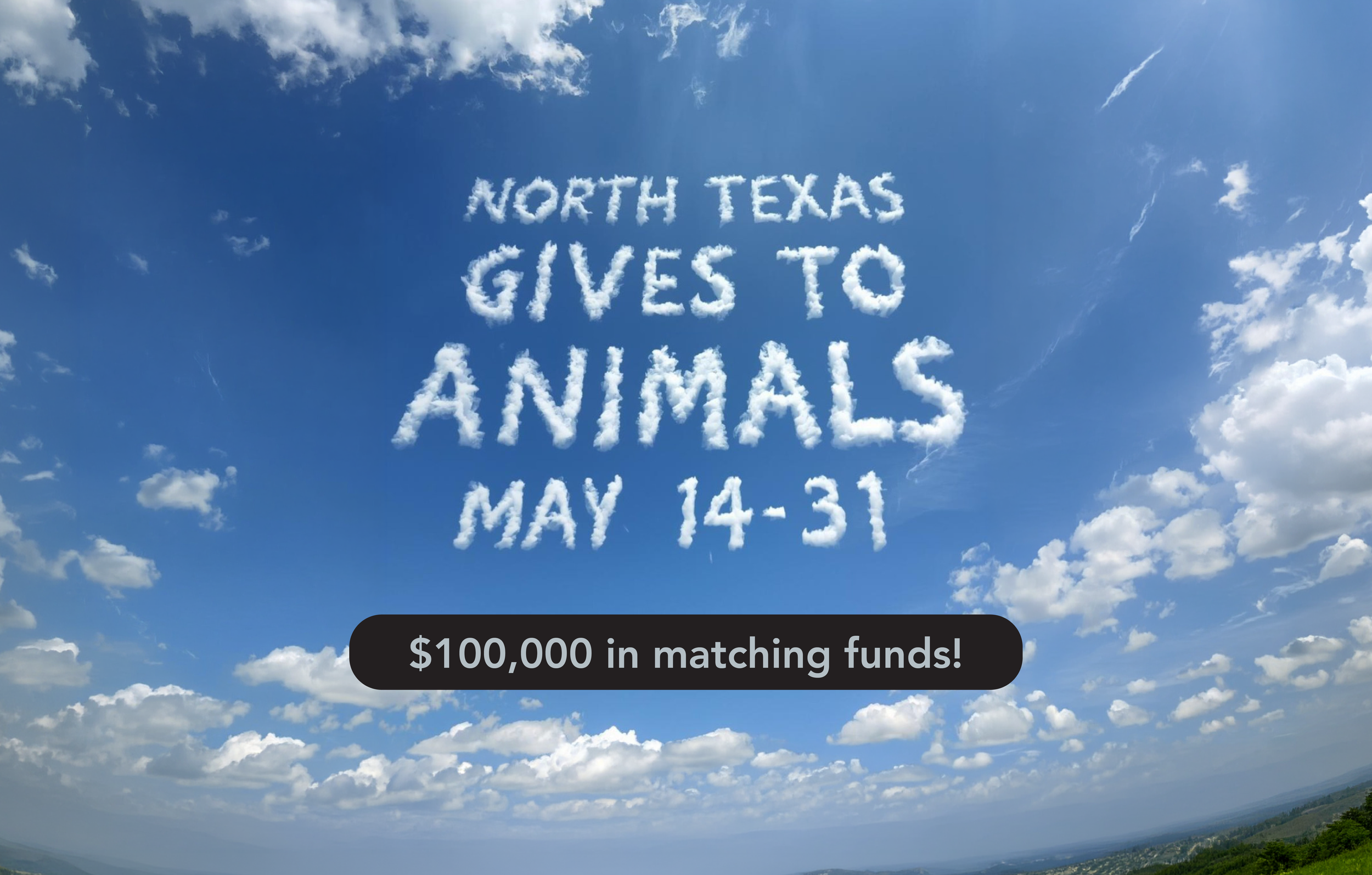 North Texas Gives to Animals