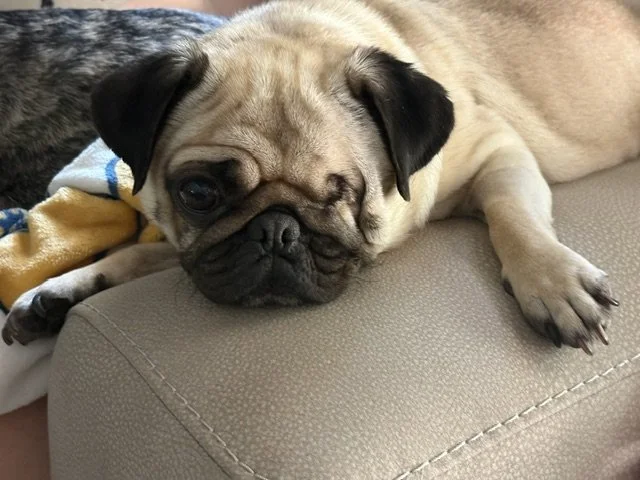 Leeloo
