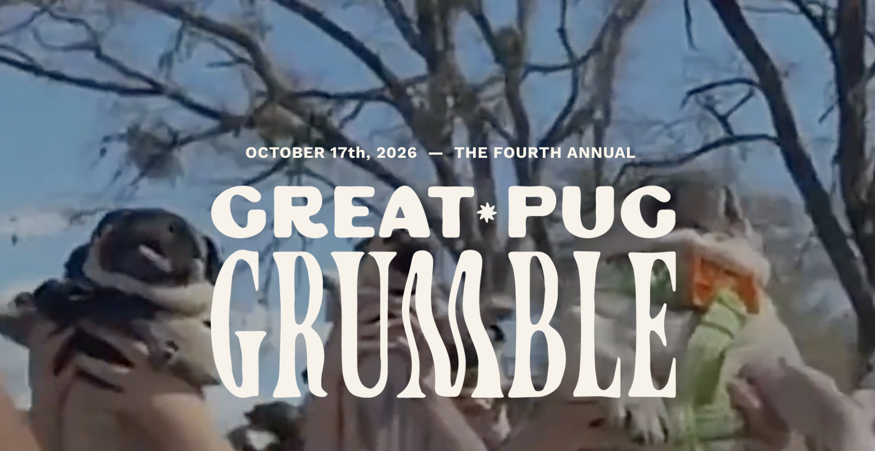 Great Pug Grumble