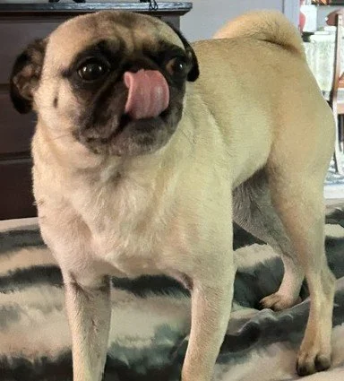 Holly Girl_2.jpeg