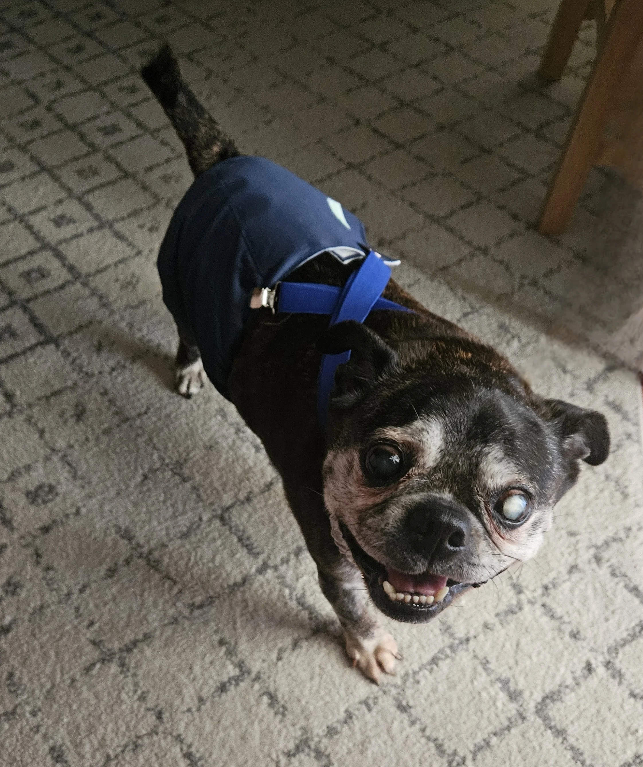 Jaxx 4.jpg